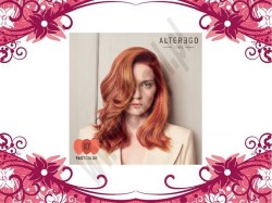 ALTEREGOFASTPALETA